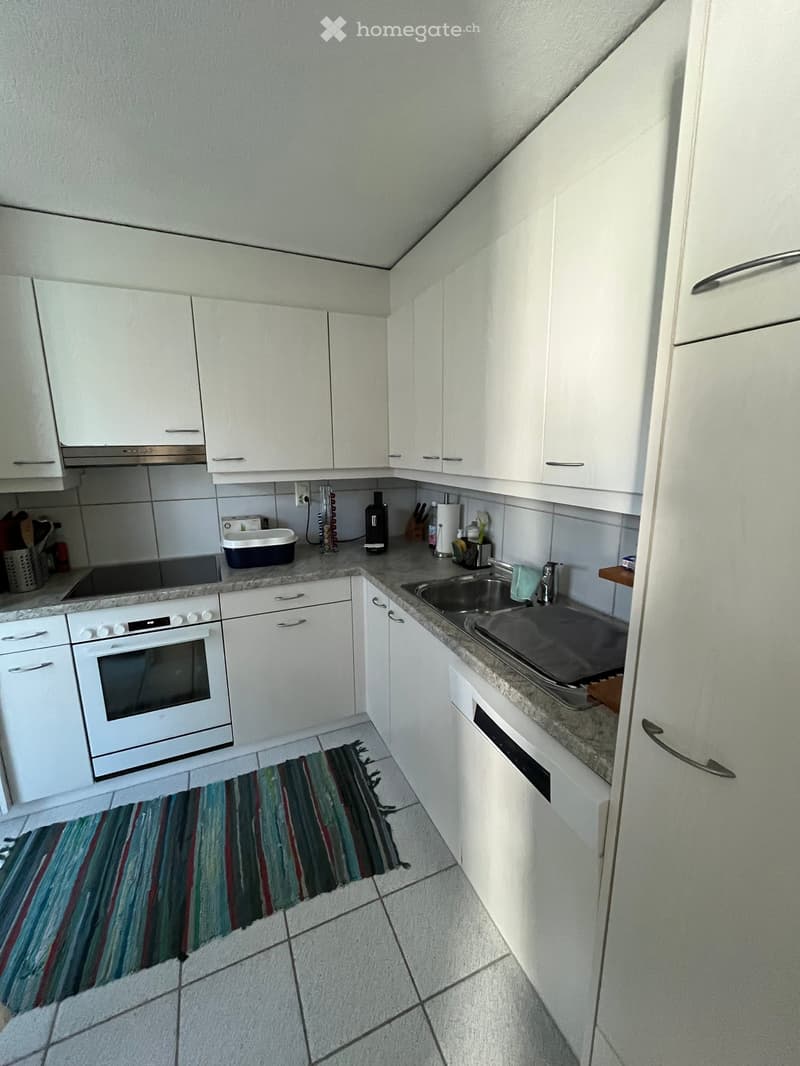 Modern kitchen with white cabinets, granite countertops, stainless steel sink, and built-in oven. Features a colorful striped rug on the floor.