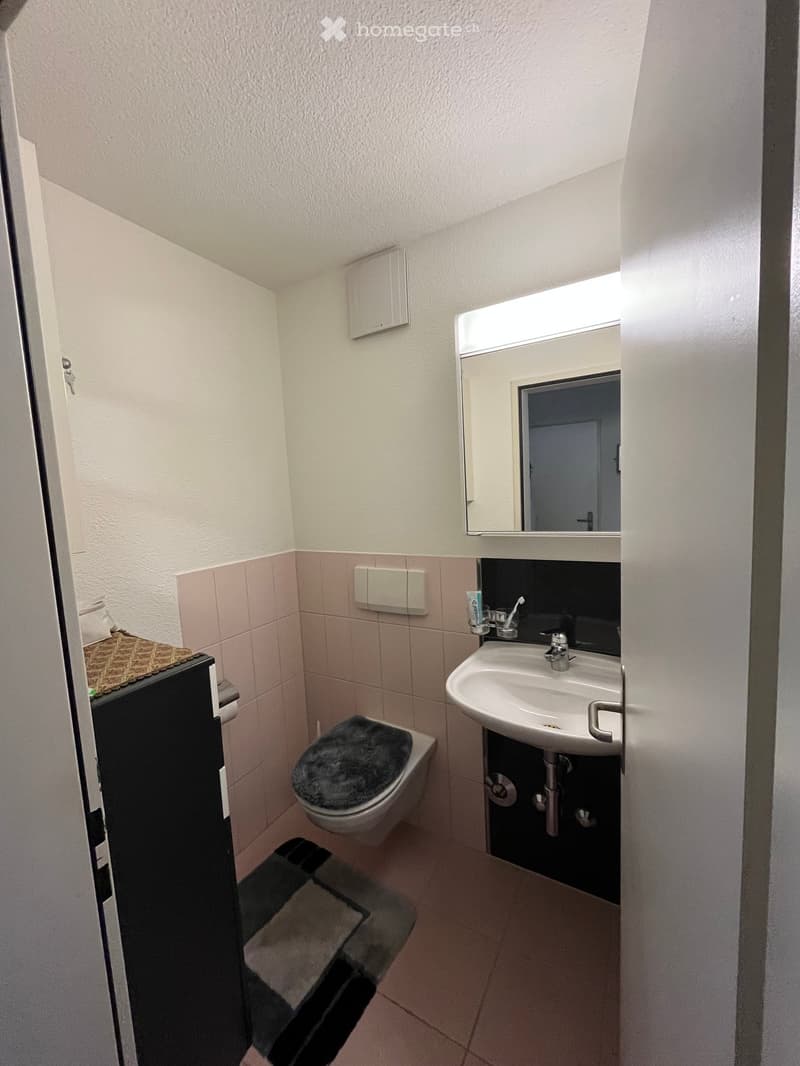 Compact bathroom with a white sink, chrome faucet, toilet with a dark seat cover, a mirror above the sink, and a small cabinet. Light pink tiles on lower walls and white tiles on upper walls.