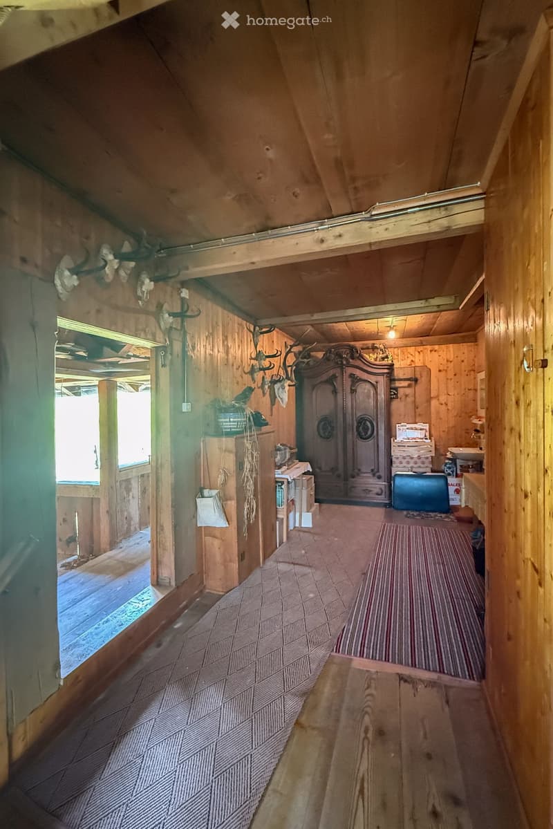 wooden walls, floor and ceiling, cabinet, deer antlers, rugs, closet, and lamp
