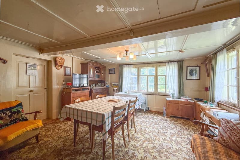 Dining room with a table and chairs, a radiator, and a cabinet with a TV. The windows have curtains, and there is a framed picture on the wall. There is a pillow on a couch, a bottle on the floor, and a cabinet with books and rolls of paper.