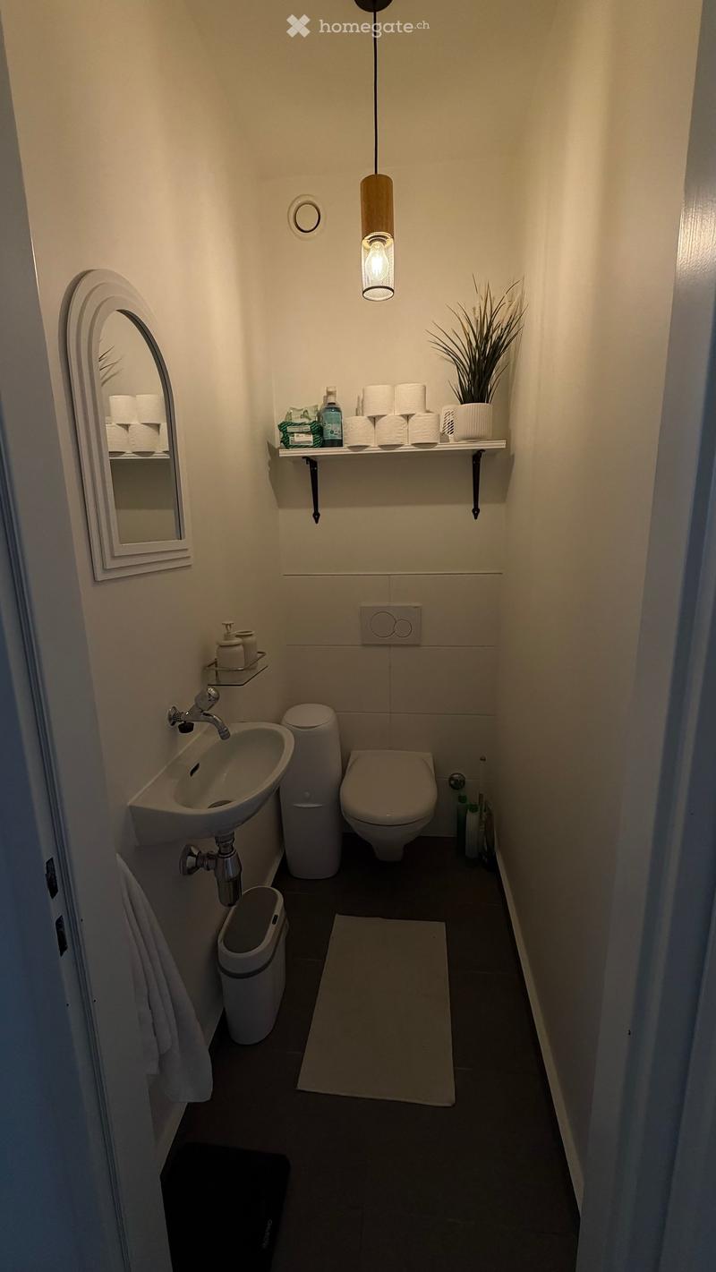 Modern, compact bathroom with a white sink, toilet, mirror, and shelves holding toiletries and toilet paper. Includes a small plant and a hanging light fixture.