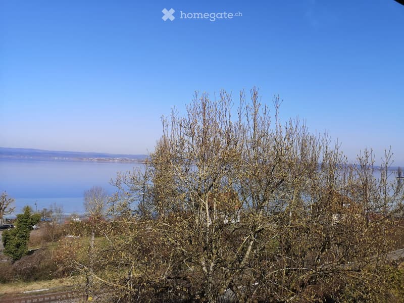 view over the sea and mountains in the background, trees with few leaves