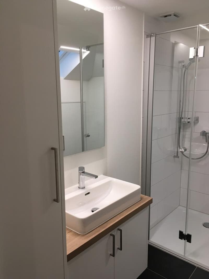 Bathroom with modern fixtures, glass shower enclosure, white porcelain sink, and vanity with storage.
