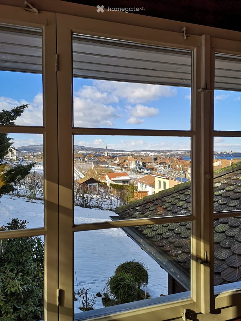 Outdoor view from a window with a snowy landscape, a town below, houses, trees, and a distant water body.