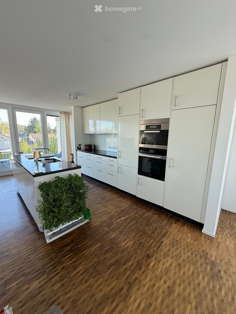 Kitchen. Modern kitchen with white cabinets, stainless steel appliances, wooden flooring, and a central island with a sink and a small plant.
