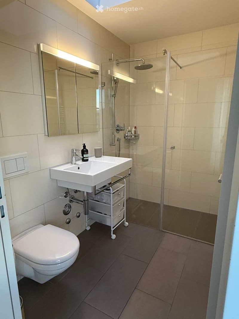 Bathroom. Modern bathroom with a white sink, toilet, large mirror, and glass-enclosed shower. Includes a small storage unit under the sink.