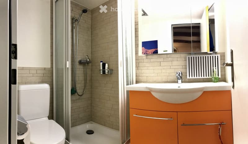 Modern bathroom with a white toilet, a sink with an orange cabinet, a mirror above the sink, and a glass-enclosed shower area with a shower head and hose.