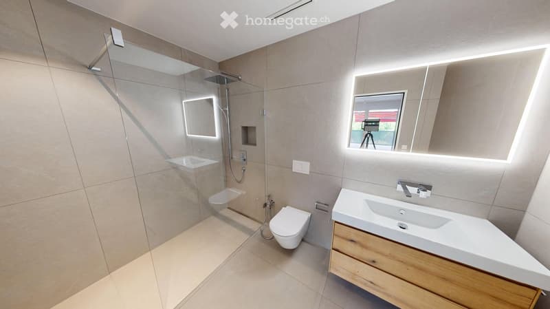 Modern bathroom with a white toilet, a wooden vanity with a sink, a large mirror with built-in lighting, and a glass-enclosed shower with a handheld showerhead.