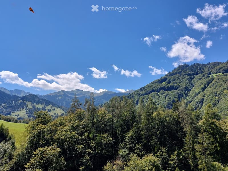 A panoramic view of a lush, green forest with dense trees and rolling hills under a clear blue sky with scattered clouds. The landscape features a mix of evergreen and deciduous trees, with a distant mountain range visible in the background.