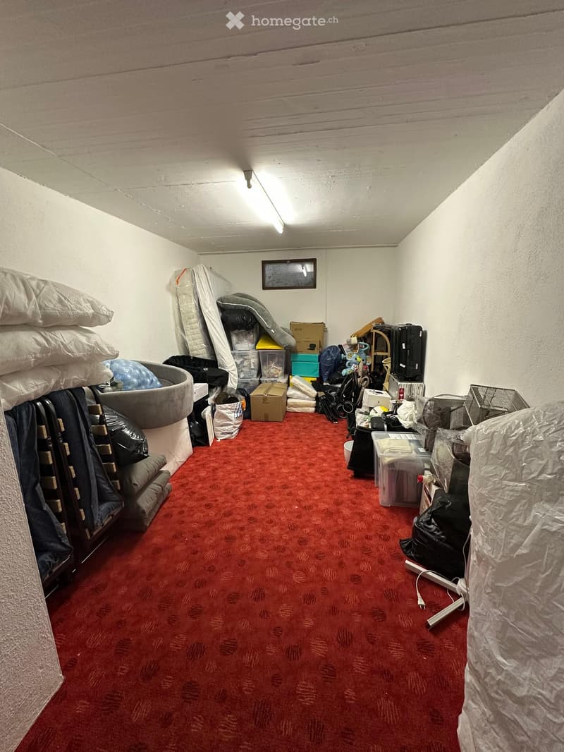 A storage or utility room with red carpeting, various stored items including a sofa, chair, table, storage boxes, bed, and a mirror on the wall.