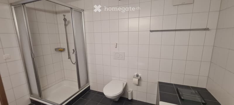 Modern bathroom with white tiled walls, black tiled floor, a glass-enclosed shower, and a toilet. Includes a shower shelf and a toilet paper holder.