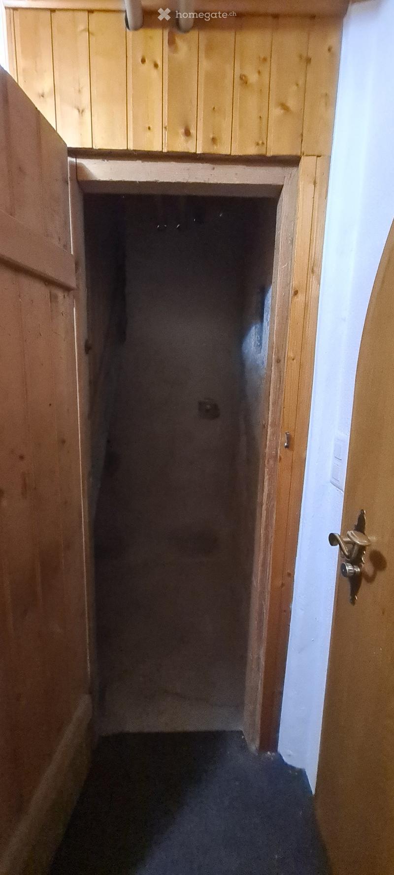 A narrow, dimly lit hallway with wooden walls and a carpeted floor, leading to a closed door at the end.