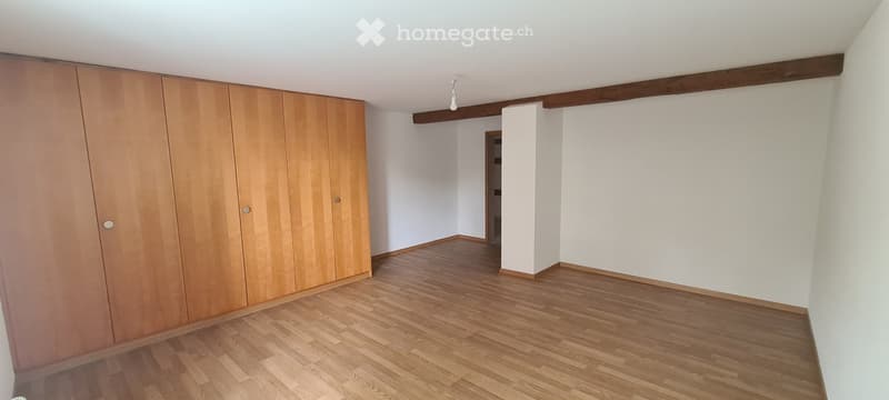 Empty room with wooden flooring, white walls, and a large built-in wardrobe. No furniture or equipment present.