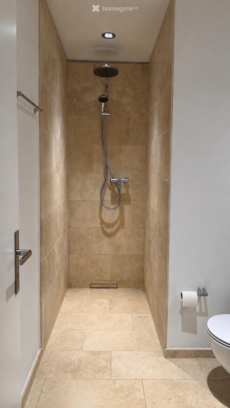 Modern bathroom with a walk-in shower area featuring a handheld showerhead, beige tiles, and a toilet visible in the corner.