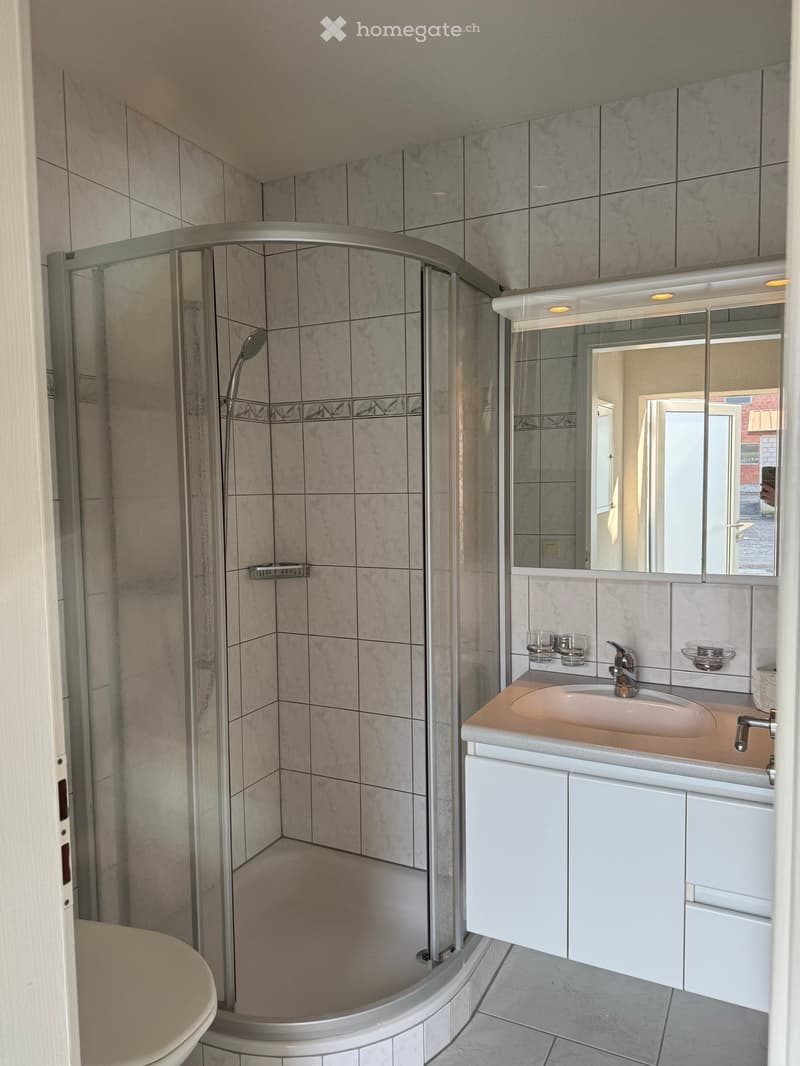 modern bathroom with shower, sink, mirror, and toilet