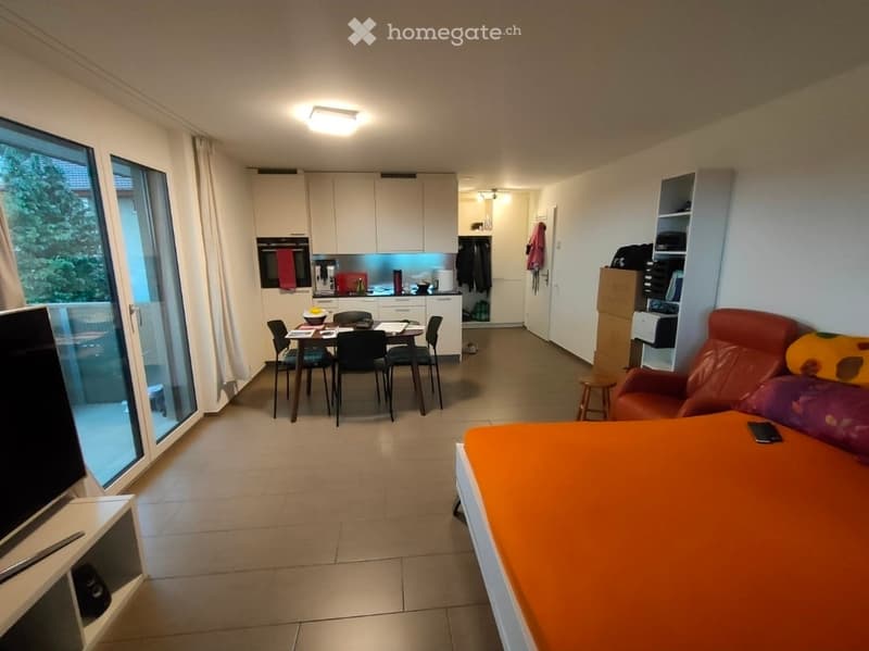 Open-plan living and sleeping area with a sofa, bed, dining table, chairs, kitchen area, and shelves.
