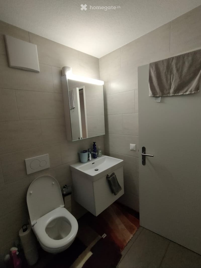 Modern bathroom with a toilet, sink, mirror, and cabinet. The sink has a small towel hanging on the side, and a towel is draped over a rack on the wall. Toilet paper is placed on a holder next to the toilet.