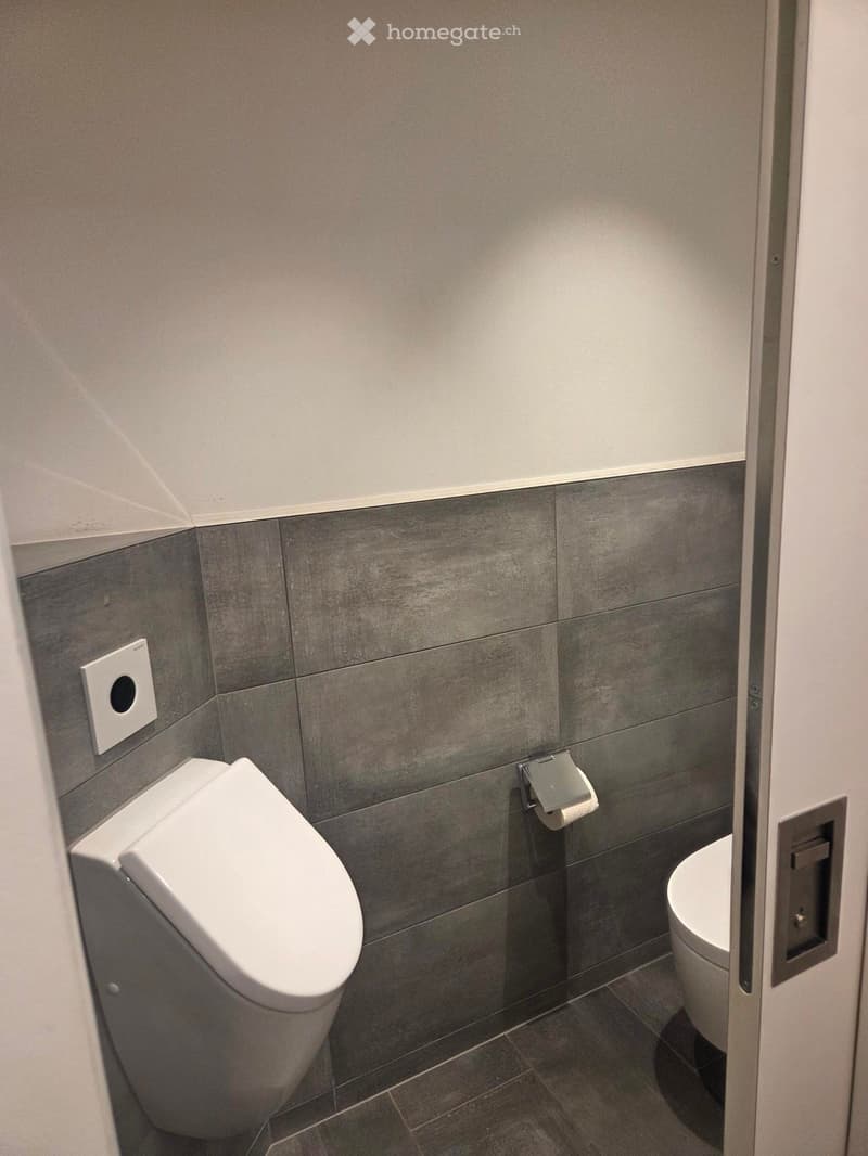 Modern bathroom with grey tiled walls, white toilet, toilet paper holder, and sleek design.