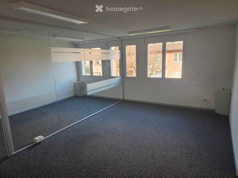 Empty room with grey carpet, large glass partition, and natural light from windows.