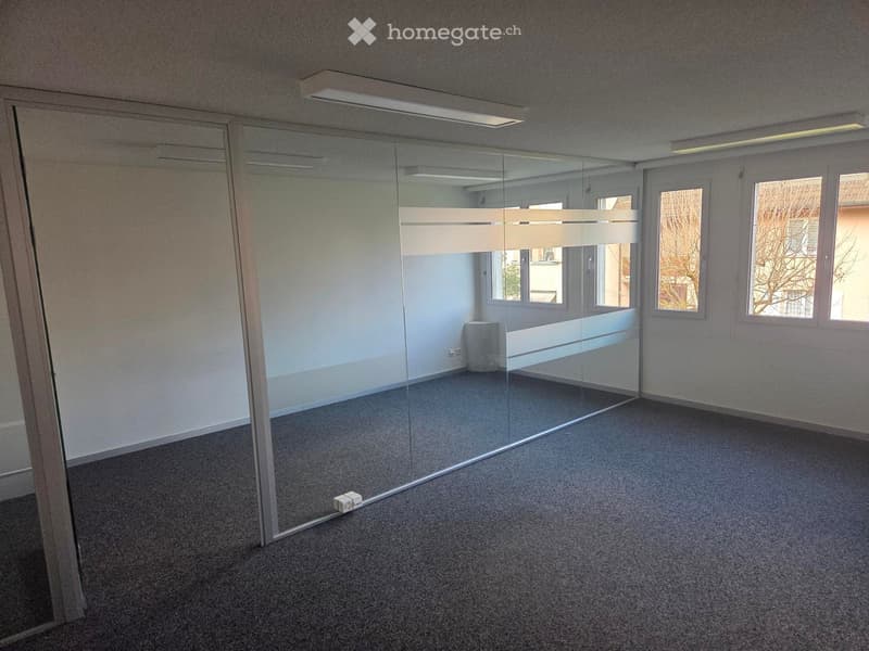 Empty room with grey carpet, white walls, large glass partition, and natural light from windows.