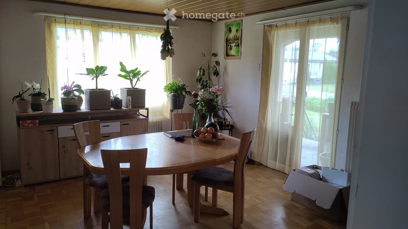 Furnished Room. Bright dining room with wooden floor, large windows, dining table with chairs, cabinet with potted plants, and decorative items.
