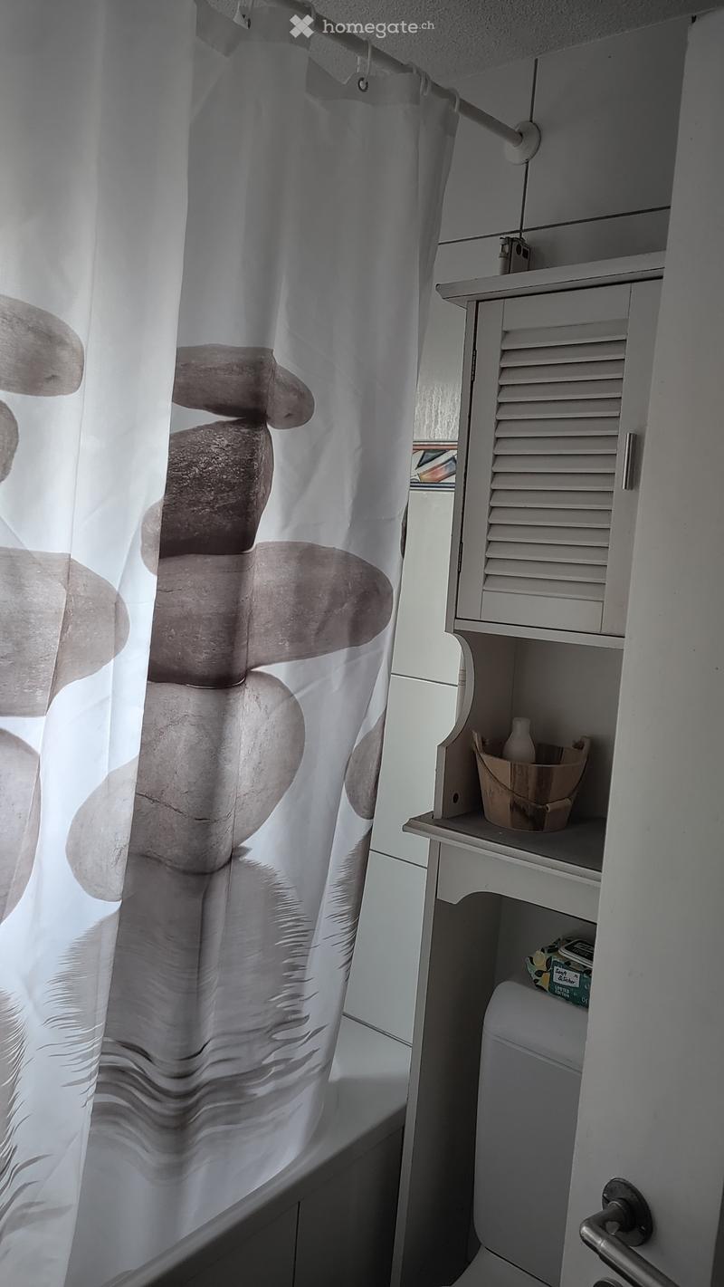 Bathroom. Bathroom with a shower curtain featuring a stone and leaf design, a white shelf with a small basket and bottle, and a toilet.