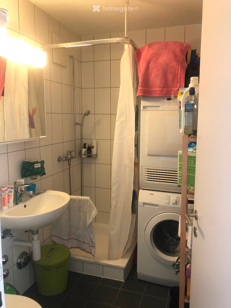 Bathroom with a sink, shower, washing machine, and various toiletries.