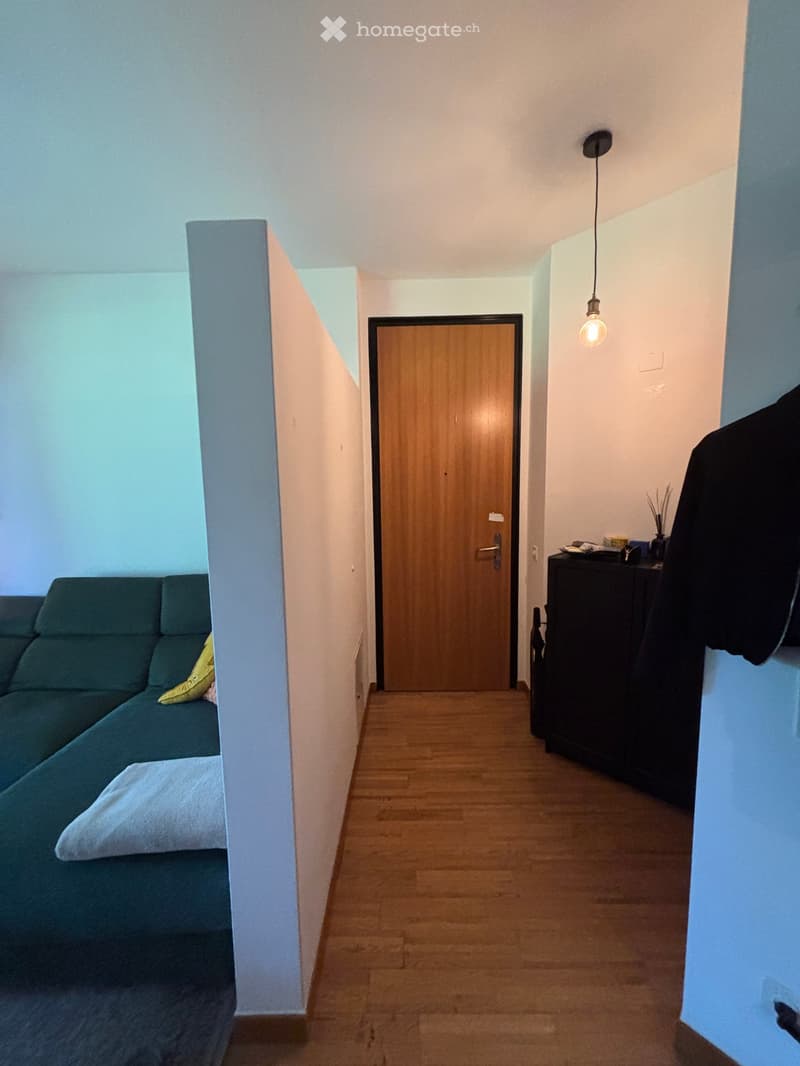 A small, modern living space with a dark green sofa, a wooden door, a hanging light fixture, and a small cabinet with items on top.