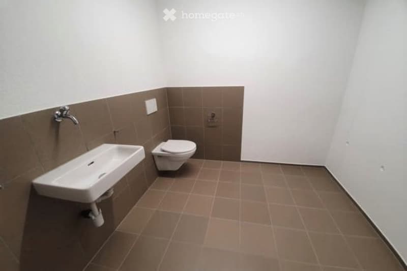 white and brown tiles, toilet, sink, clean space