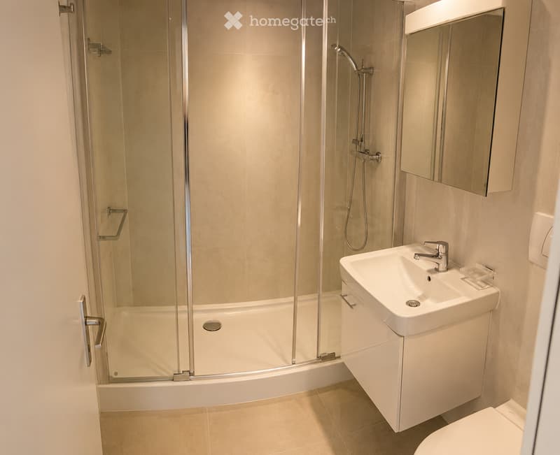 Modern bathroom with a glass-enclosed shower, a white sink with a chrome faucet, a built-in cabinet, and a toilet.