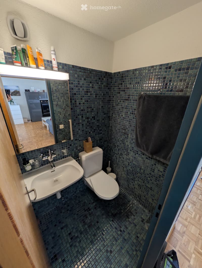 A small bathroom with a white sink, toilet, and mirror. The walls are tiled in dark blue mosaic tiles, and a black towel hangs on the door. A shelf above the sink holds various toiletries.