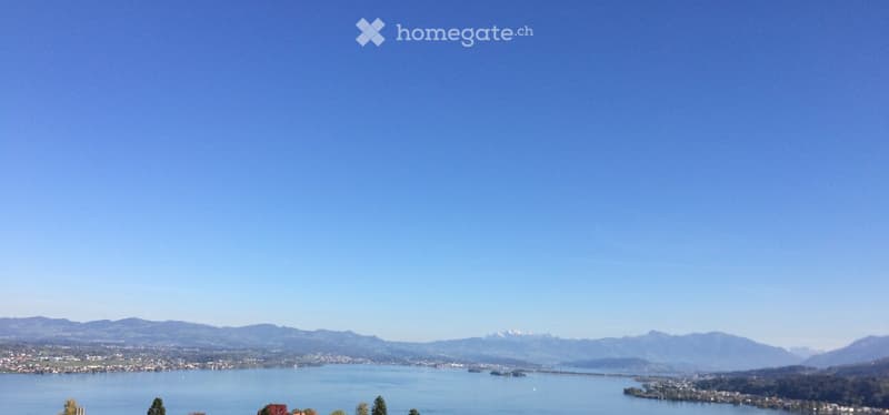 Panoramic view of a lake surrounded by mountains and a town, with clear blue skies and scattered trees in the foreground.