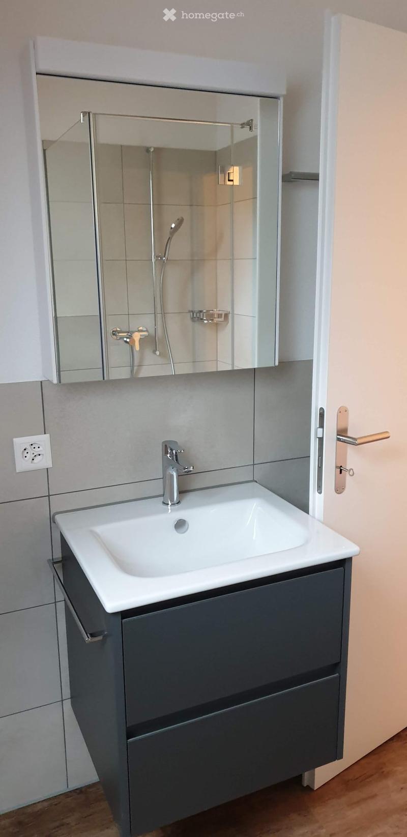 Bathroom. Modern bathroom with a white sink, chrome faucet, mirrored cabinet, and dark grey cabinetry.