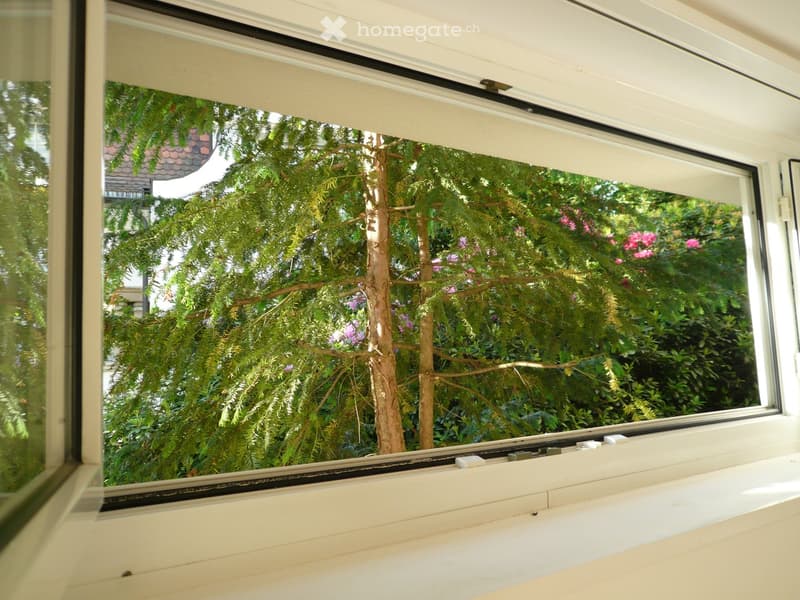 A view through a large window showing a lush green garden with trees and flowering bushes. The window frame is white with a simple design.
