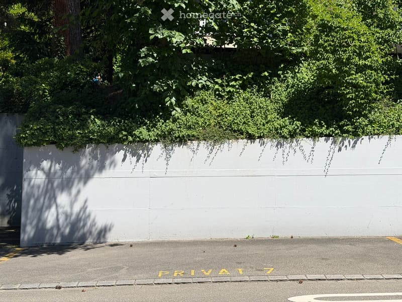 A white wall with green ivy climbing over it, casting shadows on the wall, with a paved area marked "PRIVATE" in yellow.