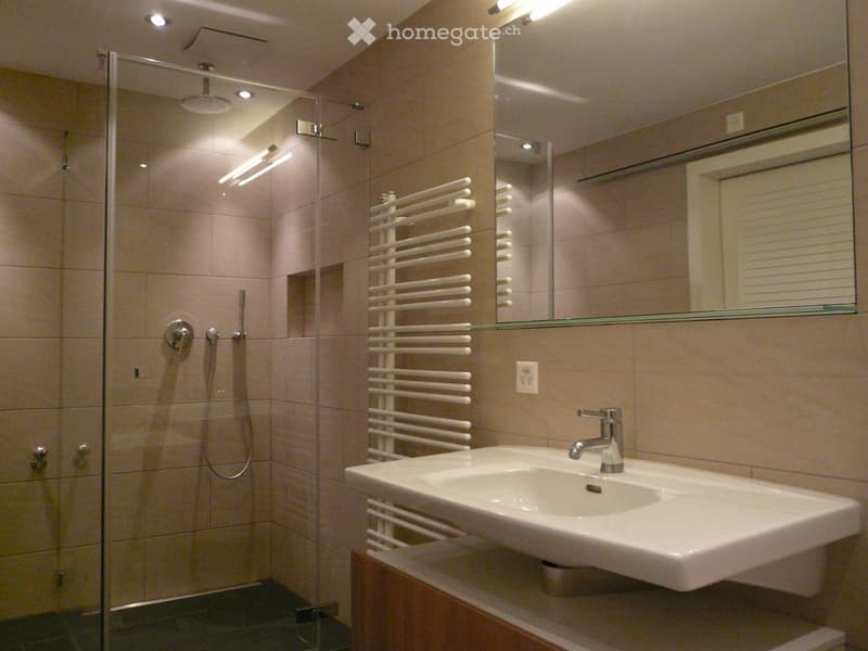 Modern bathroom with a glass-enclosed shower, a white sink with a chrome faucet, a large mirror, and a towel rack.