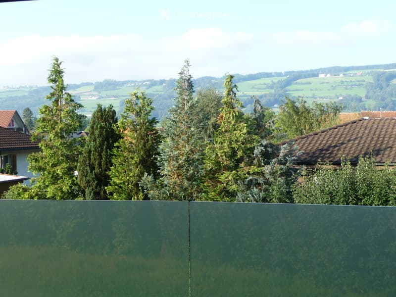 A view of a rural landscape with houses, trees, and a green field behind a fence.