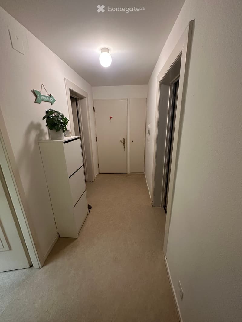 A narrow hallway with beige carpeting and white walls, featuring a double door at the end, a small cabinet with a potted plant, and a sign reading "IBIZA BEACH" on the left side.