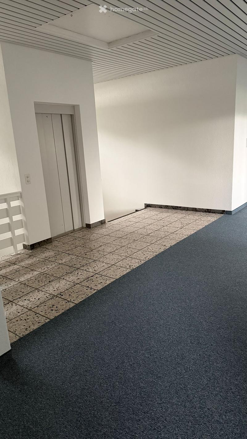 Clean, modern hallway with white walls, tiled floor, and carpeted area. Features a white door frame and a small white railing on the left side.