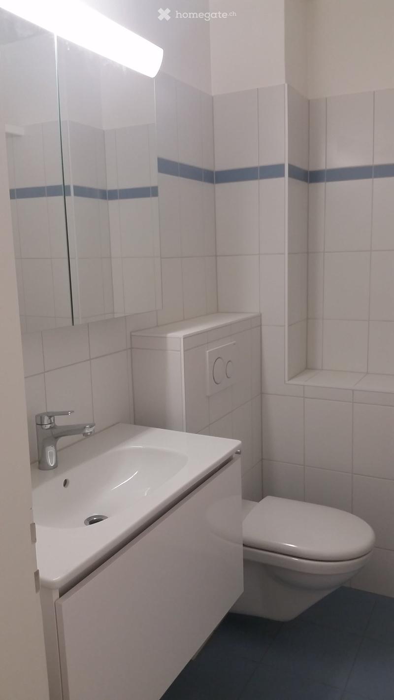 sonnige und helle 3 Zimmerwohnung (6)