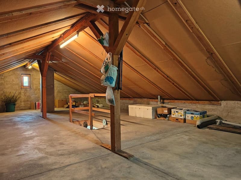 An attic space with wooden beams, a concrete floor, and various storage boxes and bags hanging from the ceiling. There is a small window on the left wall and a potted plant near the wall.