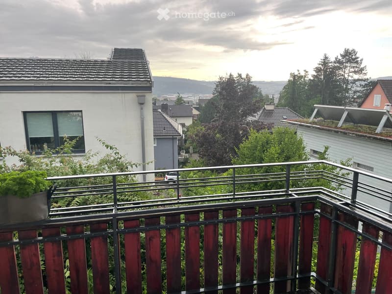 Balcony with metal railing and potted plants, overlooking a residential area with houses, trees, and a cloudy sky.