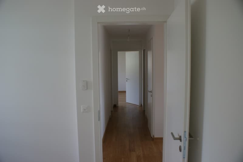 A long, narrow hallway with light wooden flooring and white walls, featuring several doors and light switches on the walls.