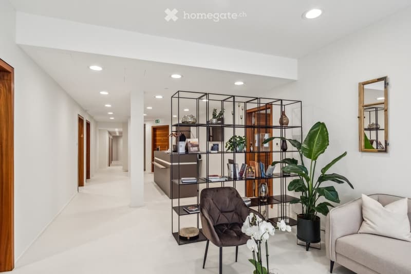 Modern, minimalist waiting area with white walls, a grey sofa, a dark brown leather chair, a large potted plant, a decorative shelf with books and vases, and a mirror on the wall.