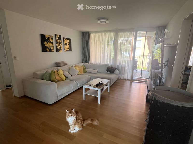 Modern living room with a grey sectional sofa, colorful cushions, a white coffee table, and a cat sitting on the floor. Large windows with sheer curtains lead to a balcony.