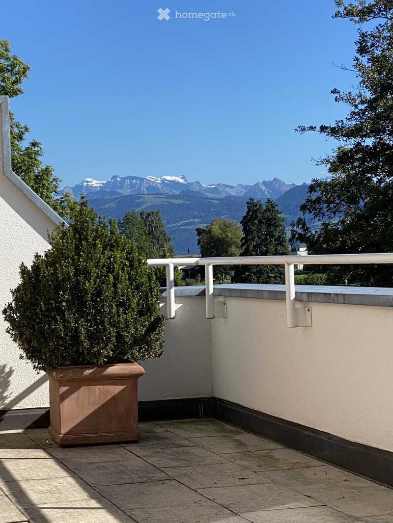 Balcony with a potted plant, white railing, and scenic mountain view.