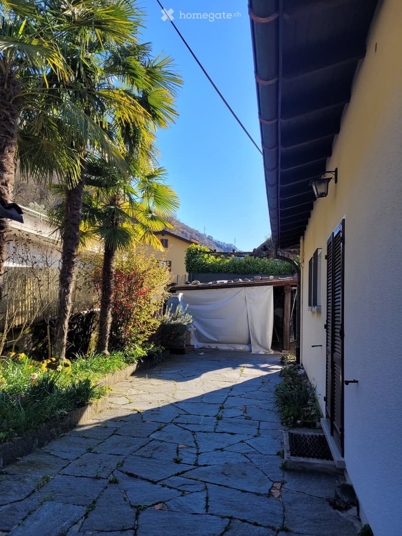 A narrow stone-paved pathway lined with greenery and palm trees, leading to a covered outdoor area with a white curtain.