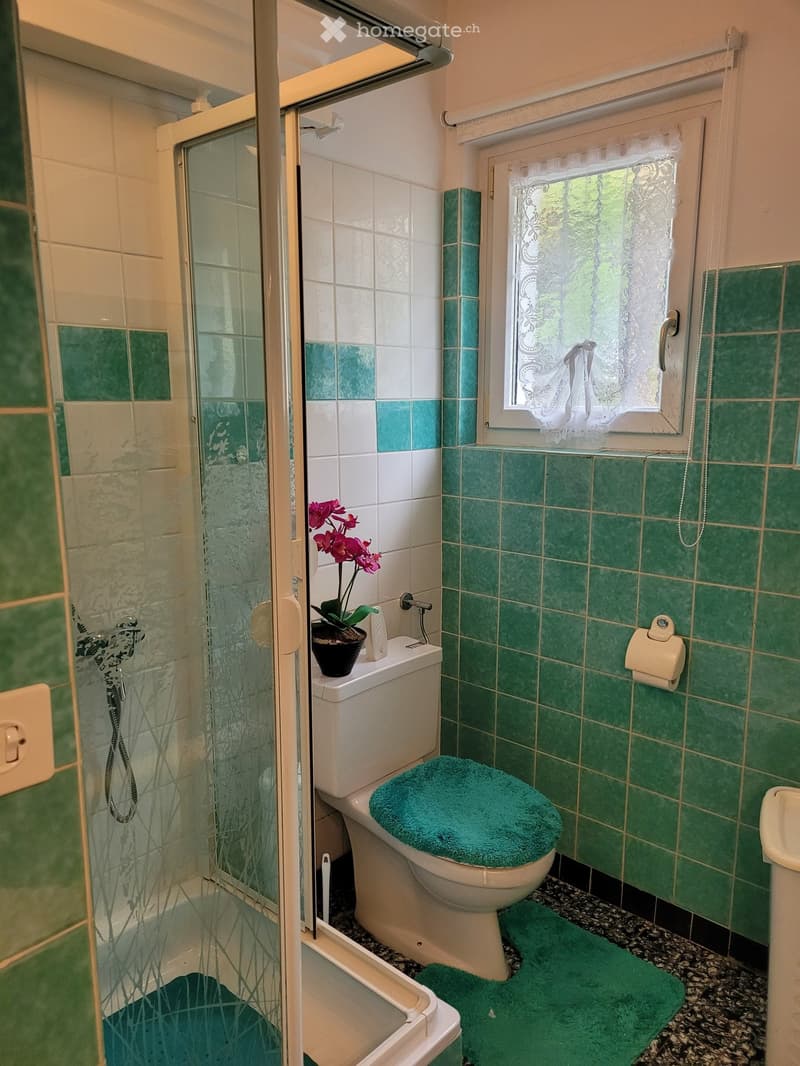 Bathroom with green tiles, a toilet with a green seat cover, a shower area with glass doors, a small window with a curtain, and a flower pot on the toilet tank.