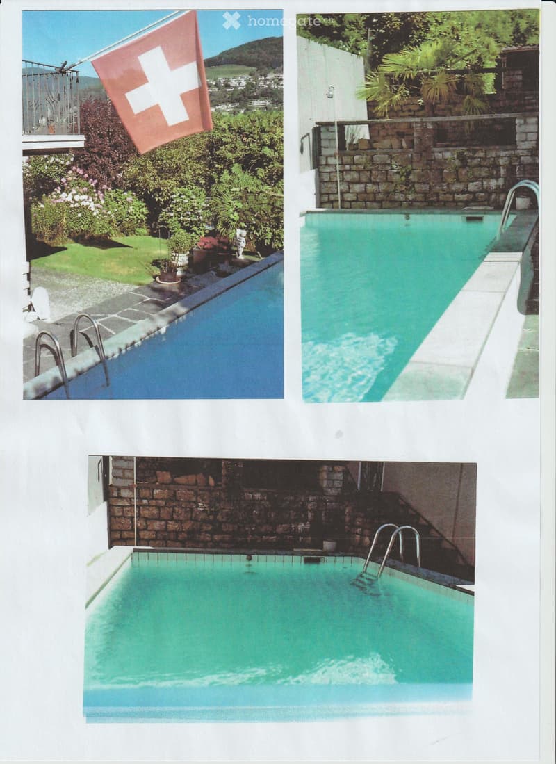 Outdoor area featuring a swimming pool surrounded by a stone wall, greenery, and a Swiss flag in the background.