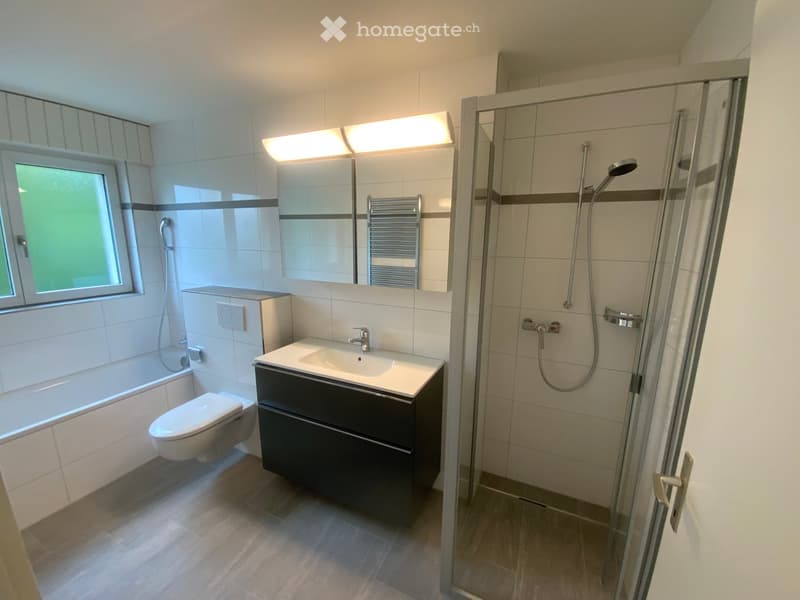 Modern bathroom with a sink, toilet, bathtub, shower, mirror, and radiator. Features tiled walls and wooden flooring.